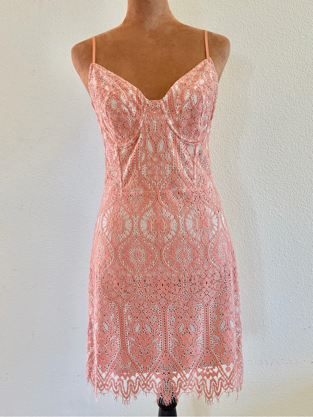 Express Pink Lace Mini Dress